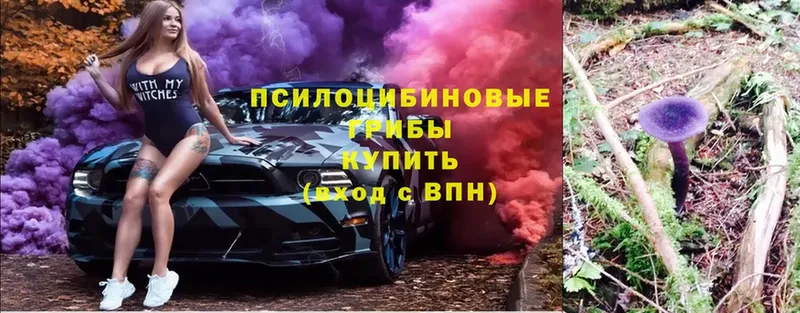 OMG как войти  Верхняя Тура  Галлюциногенные грибы мицелий 